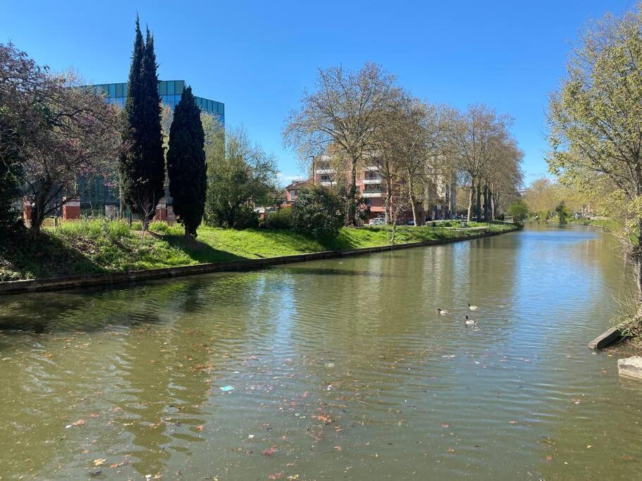 شقة Le Petit Minimes Au Bord Du Canal Du Midi تولوز المظهر الخارجي الصورة